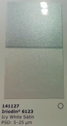 6123.jpg